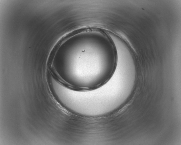 X0000067500924200604071222