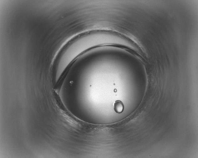 X0000067500926200604071222