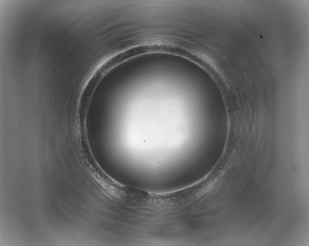 X0000067500927200604071222