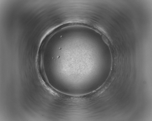 X0000067500928200604071222