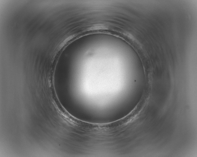 X0000067500929200604071222