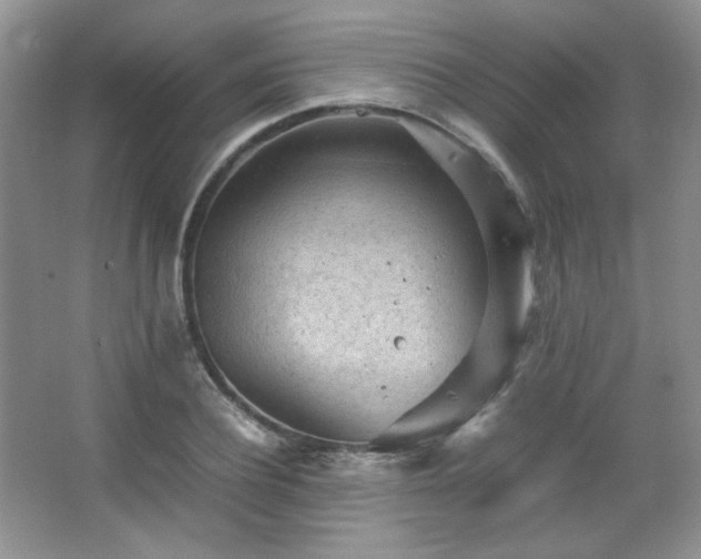 X0000067500932200604071222