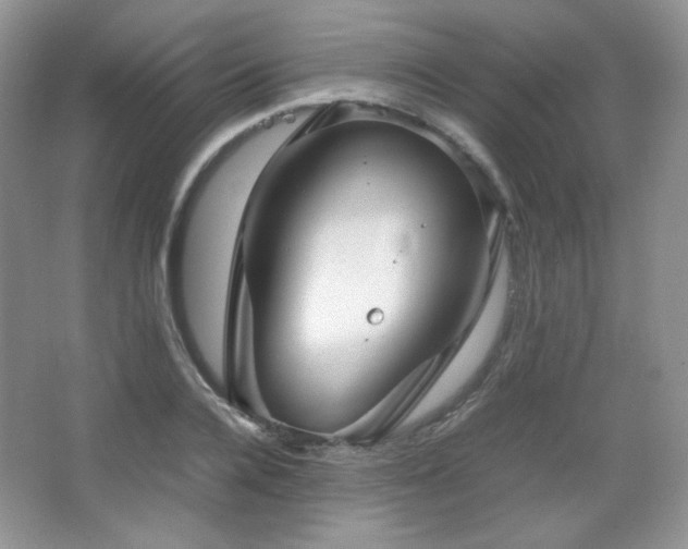 X0000067500936200604071222