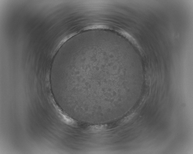 X0000067500937200604071222