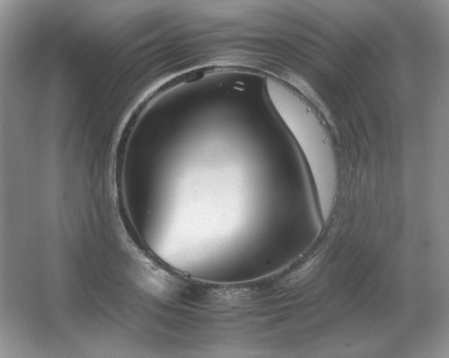 X0000067500939200604071222