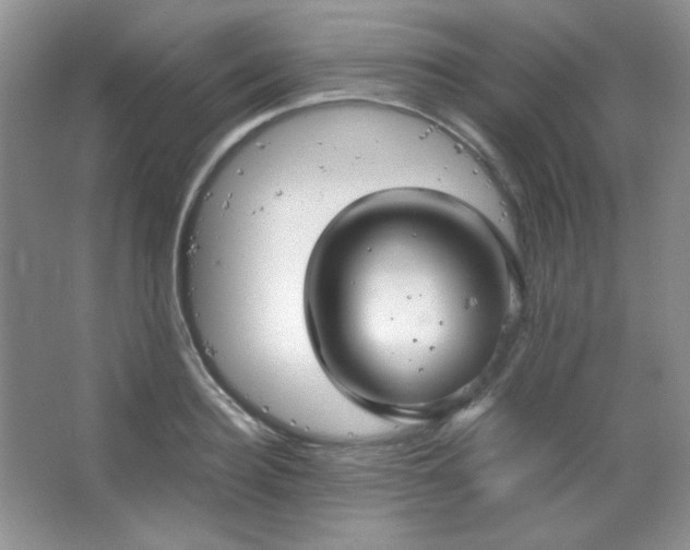 X0000067500940200604071222