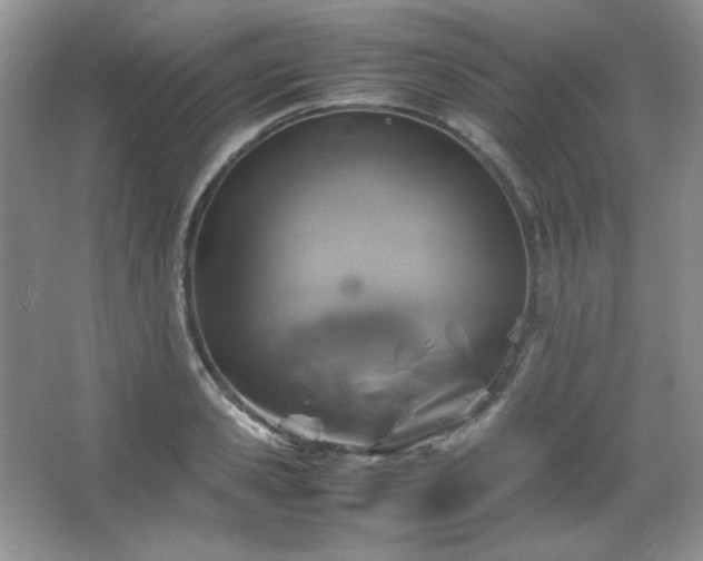 X0000067500941200604071222