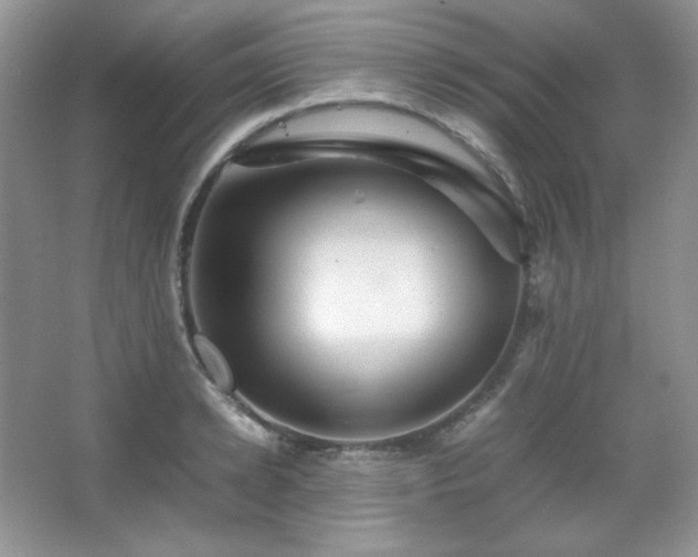 X0000067500942200604071223