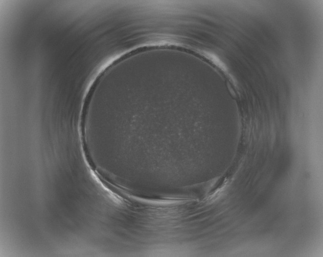 X0000067500943200604071223