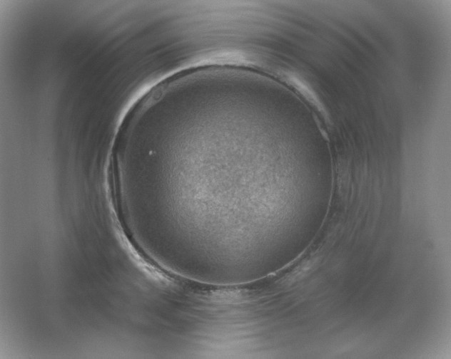 X0000067500944200604071223