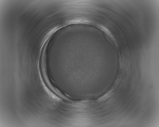 X0000067500946200604071223