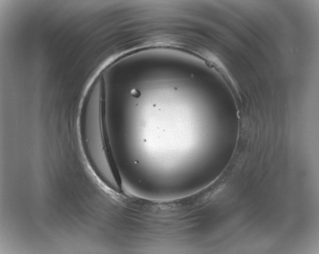 X0000067500947200604071223