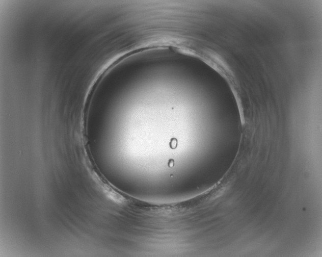 X0000067500948200604071223