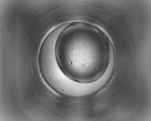 X0000067500949200604071223