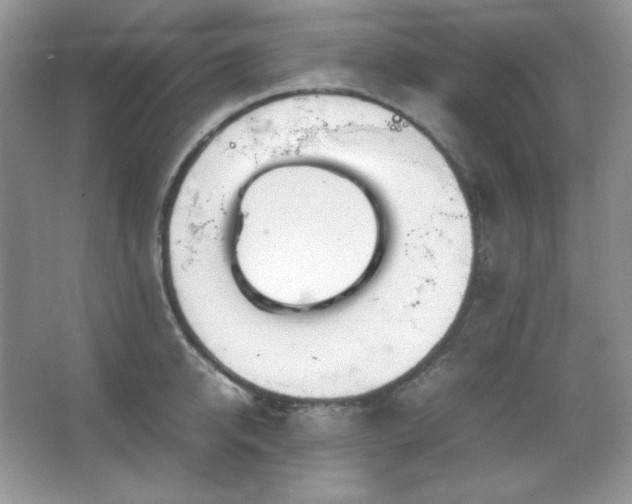 X0000067500950200604071223