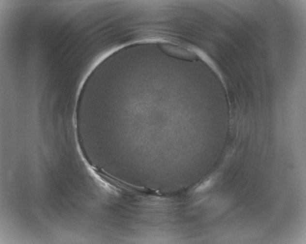 X0000067500951200604071223