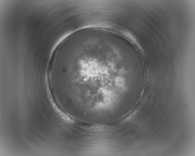 X0000067500952200604071223