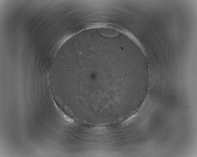 X0000067500953200604071223