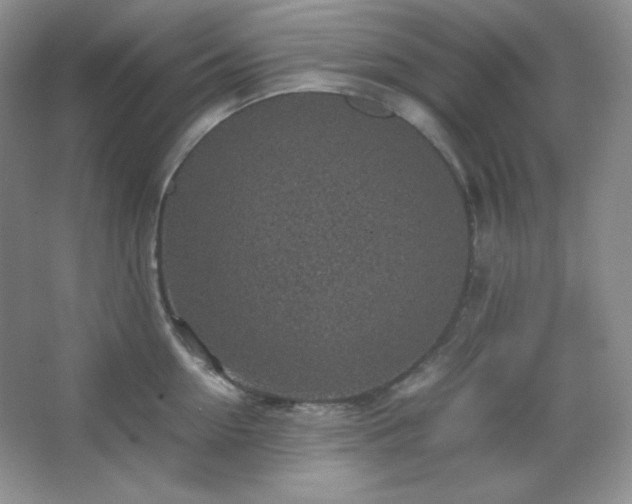 X0000067500954200604071223