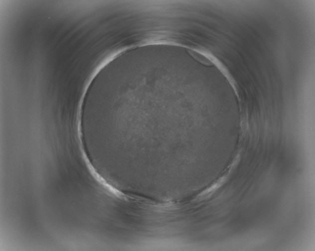 X0000067500957200604071223