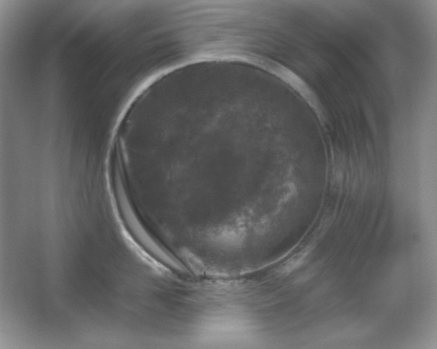 X0000067500958200604071223