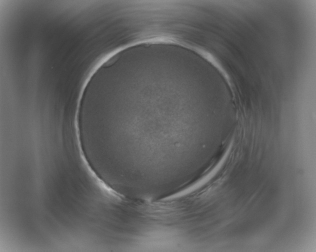 X0000067500959200604071223