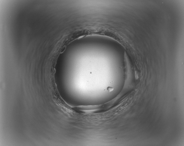 X0000067500961200604071222