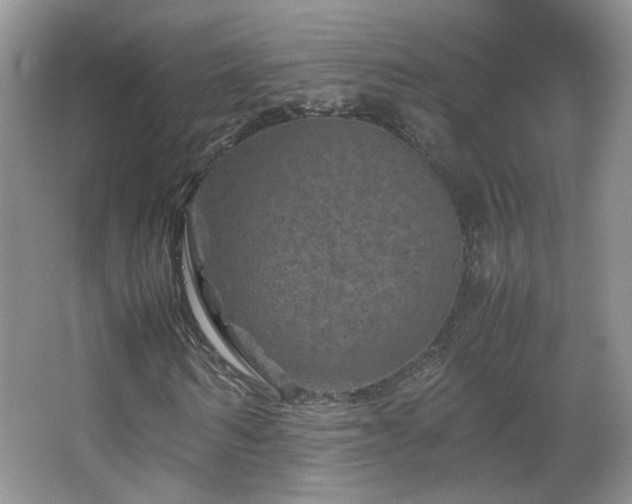 X0000067500962200604071222