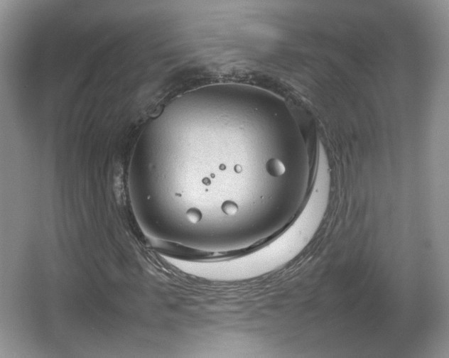 X0000067500963200604071222