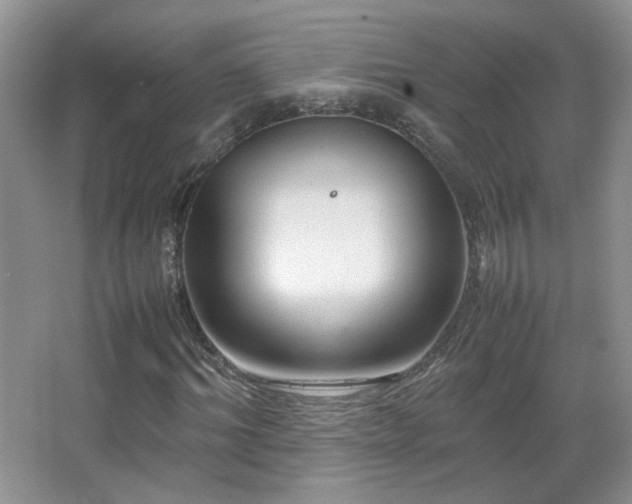 X0000067500964200604071222