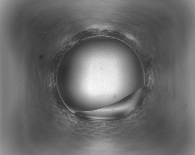 X0000067500965200604071222