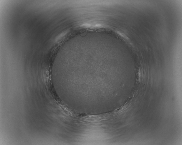 X0000067500966200604071222