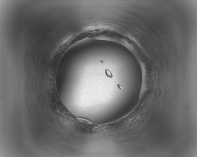 X0000067500967200604071222