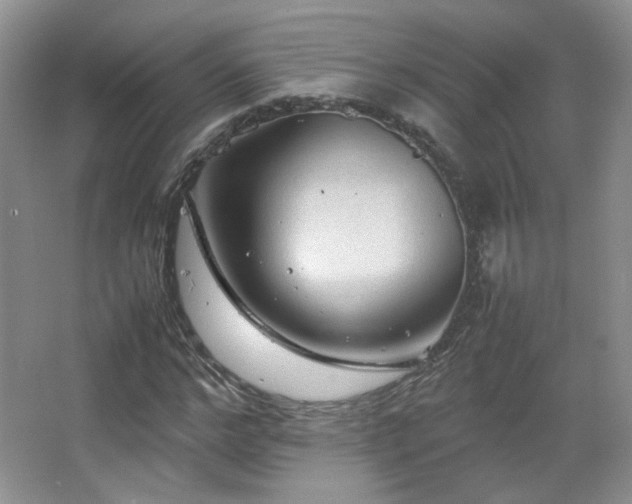 X0000067500968200604071222