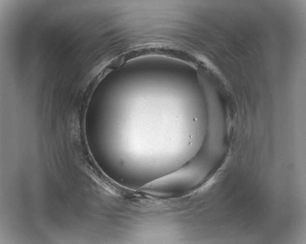 X0000067500969200604071222