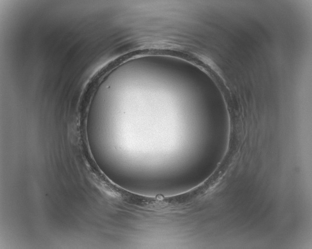 X0000067500971200604071222