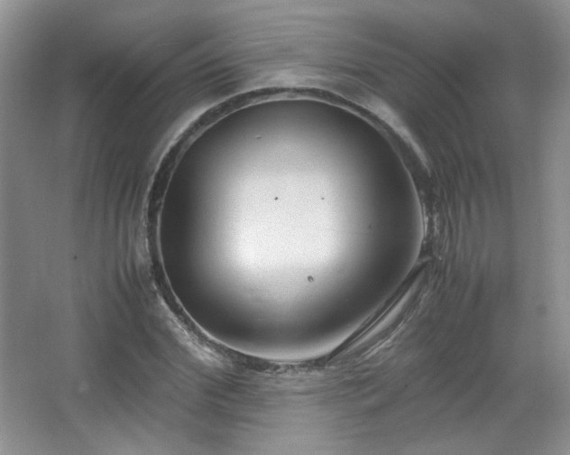 X0000067500972200604071222