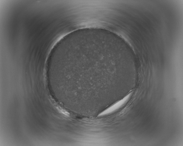 X0000067500975200604071222