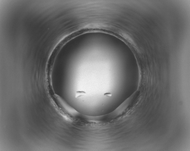 X0000067500976200604071222