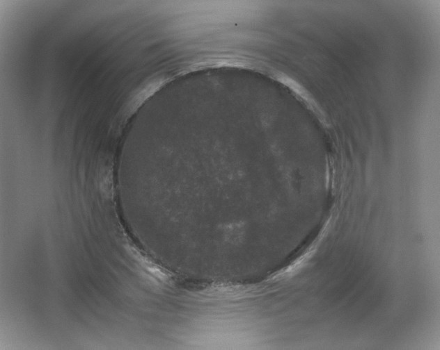 X0000067500977200604071222