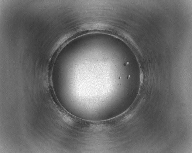 X0000067500978200604071222