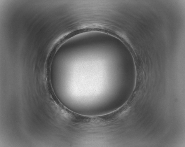 X0000067500979200604071222