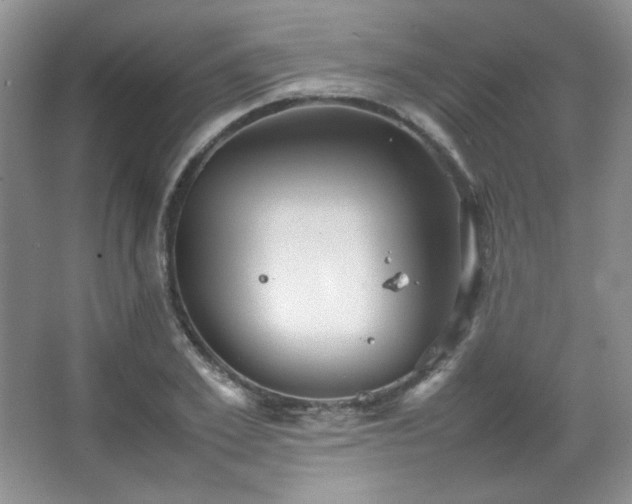 X0000067500981200604071222