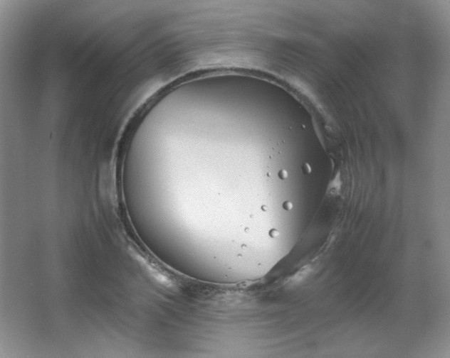 X0000067500982200604071222