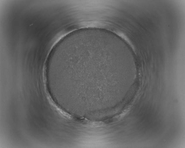 X0000067500983200604071222