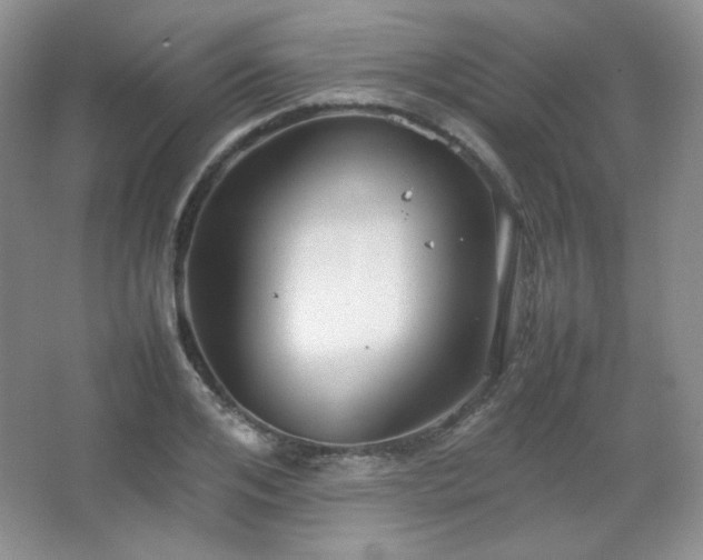 X0000067500984200604071222