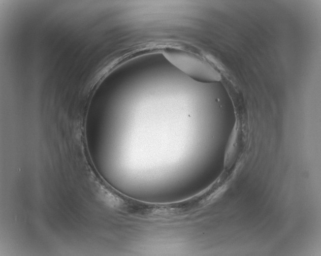 X0000067500985200604071222