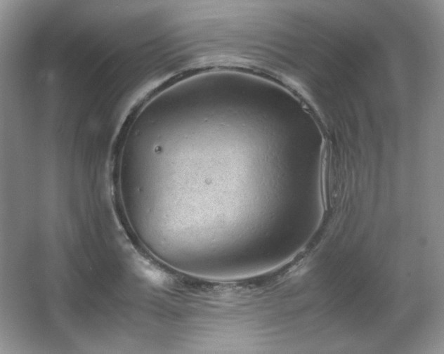 X0000067500987200604071222