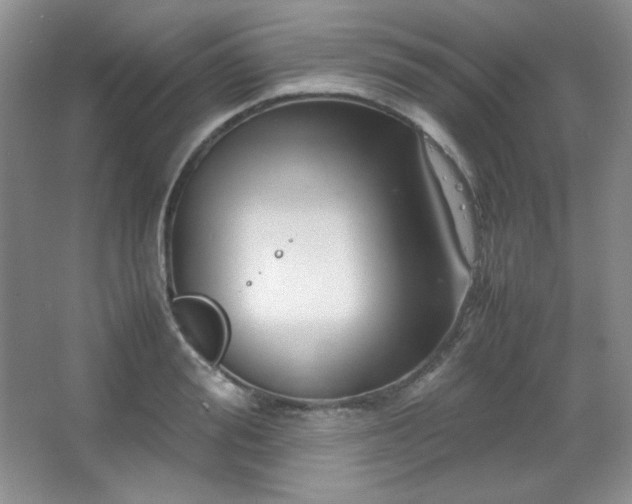 X0000067500988200604071222