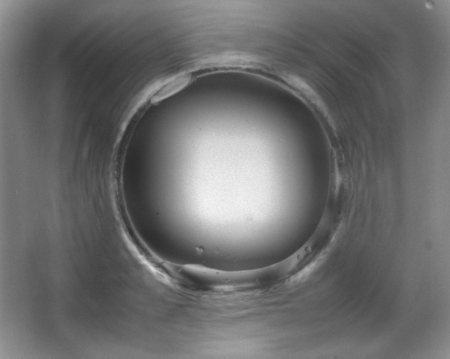 X0000067500989200604071222